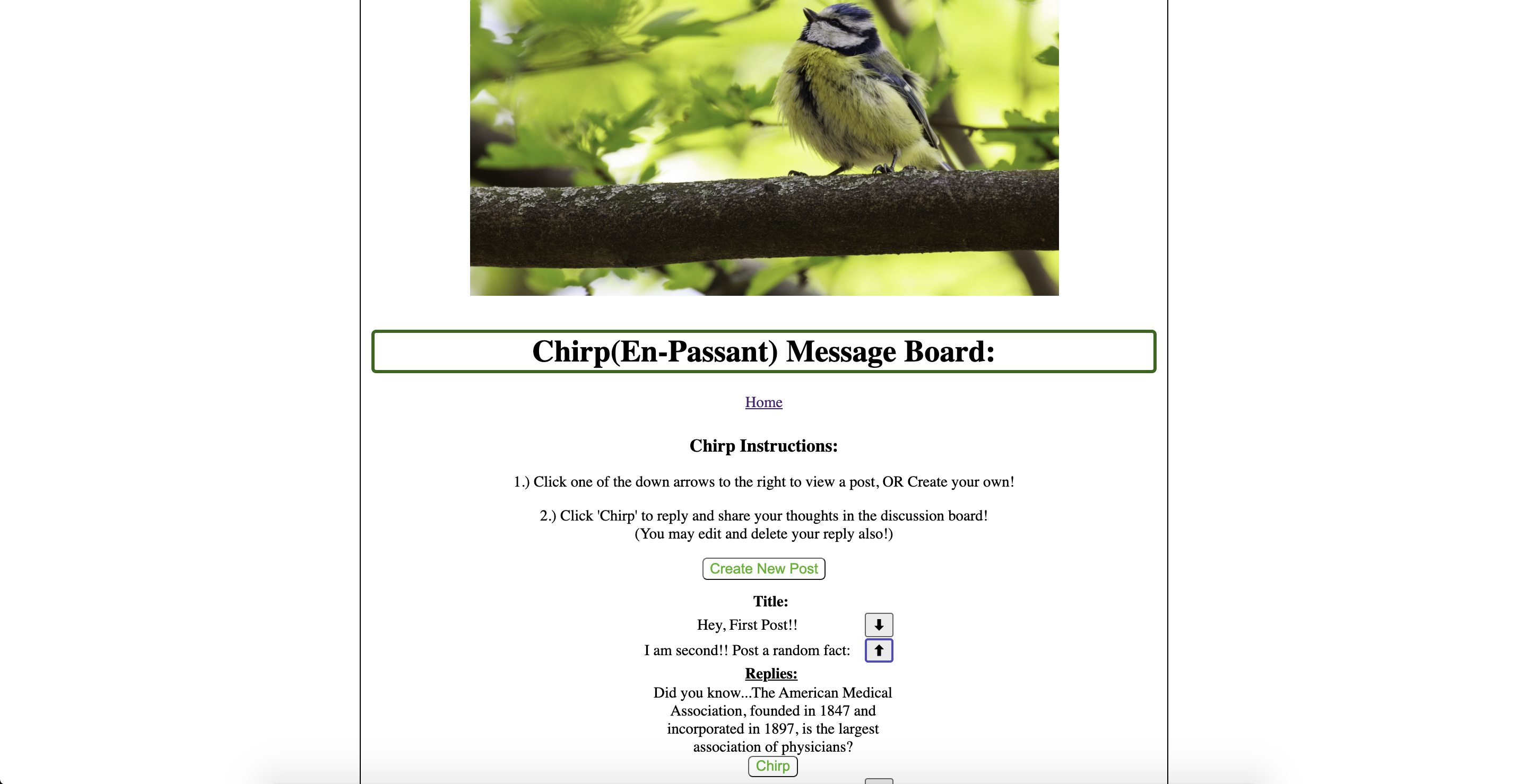 Screenshot of 'Chirp', a discussion board application